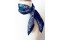  Foulard femme en soie imprimée motif cachemire