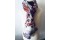 Foulard femme pas cher mode